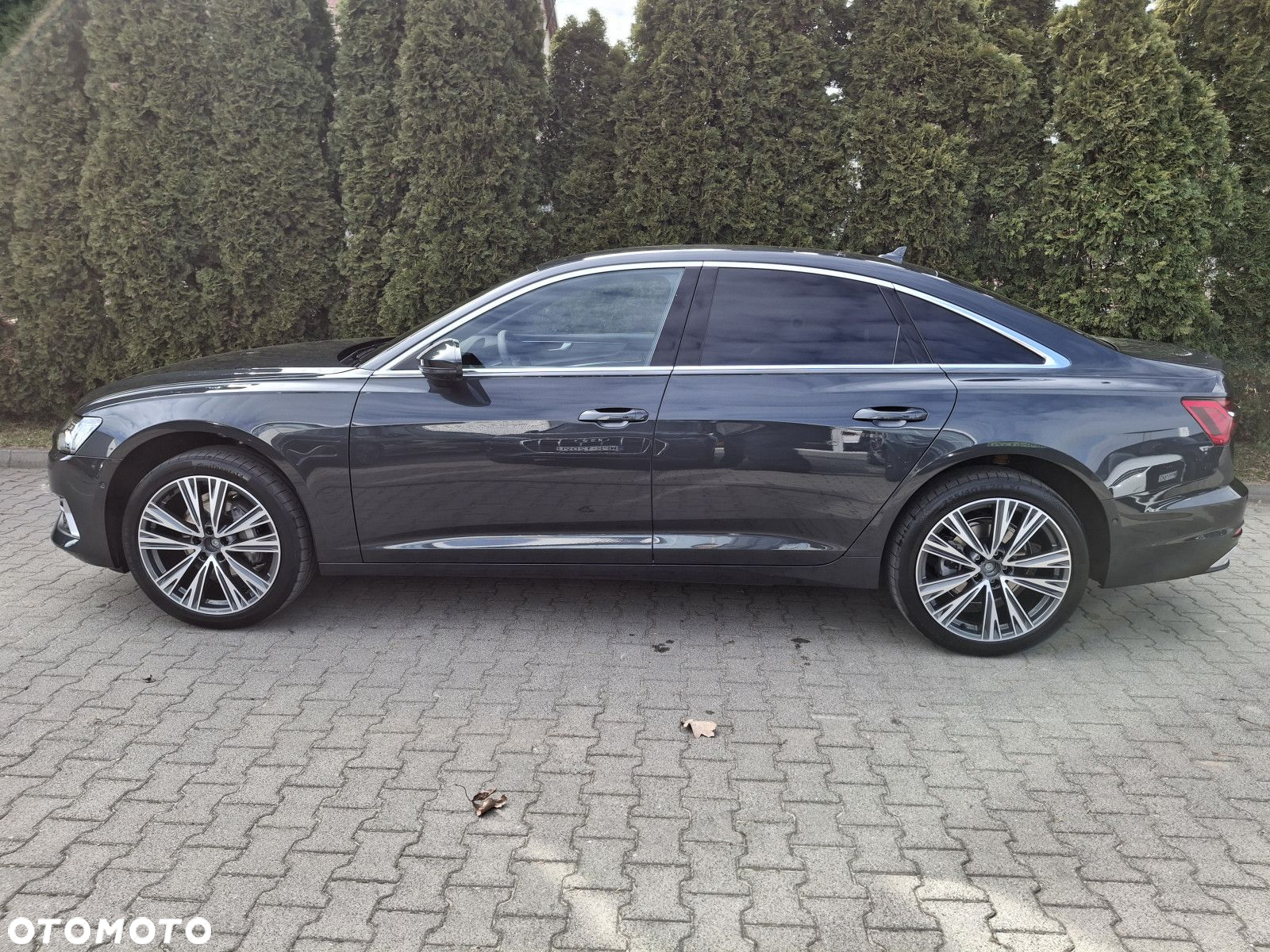 Audi A6 - 3