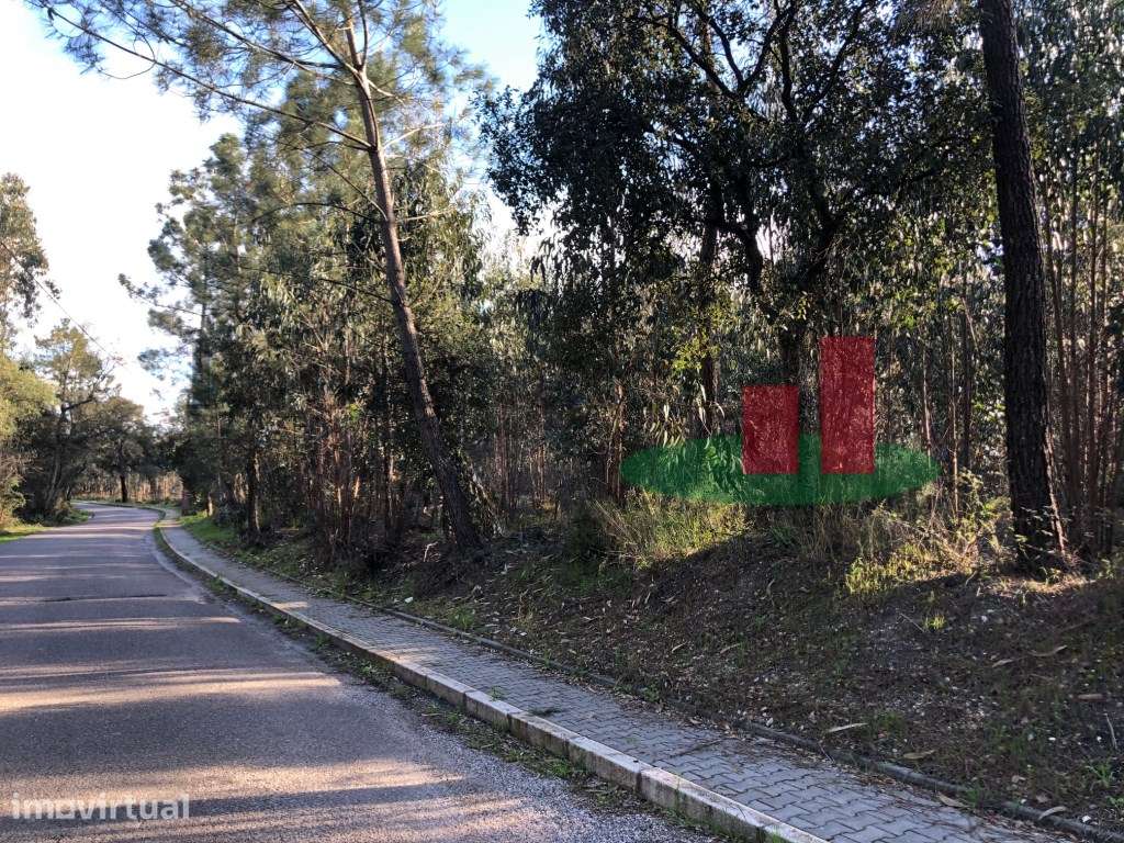 Terrenos com Viabilidade Construtiva em Asseiceira - Rio Maior***RI... - Grande imagem: 2/6