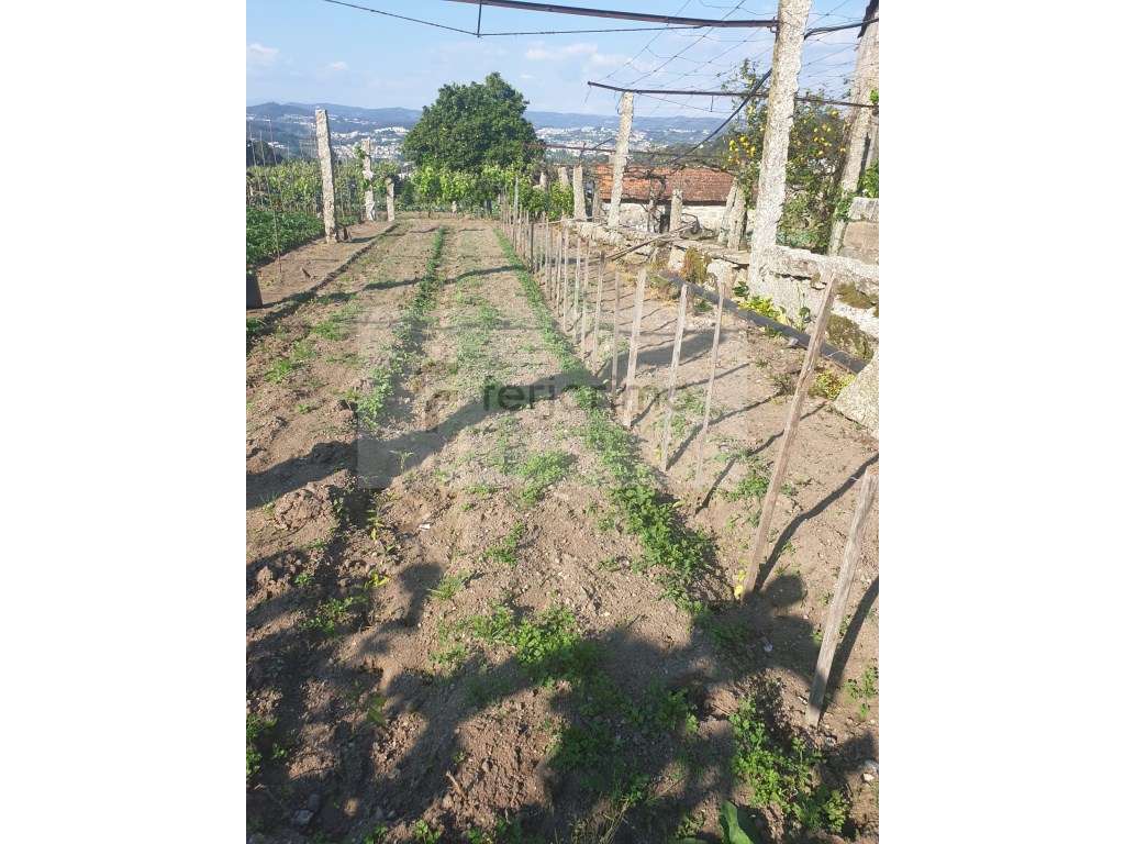 Quintinha com casa para restauro com pormenores de pedra, para rest... - Grande imagem: 4/10