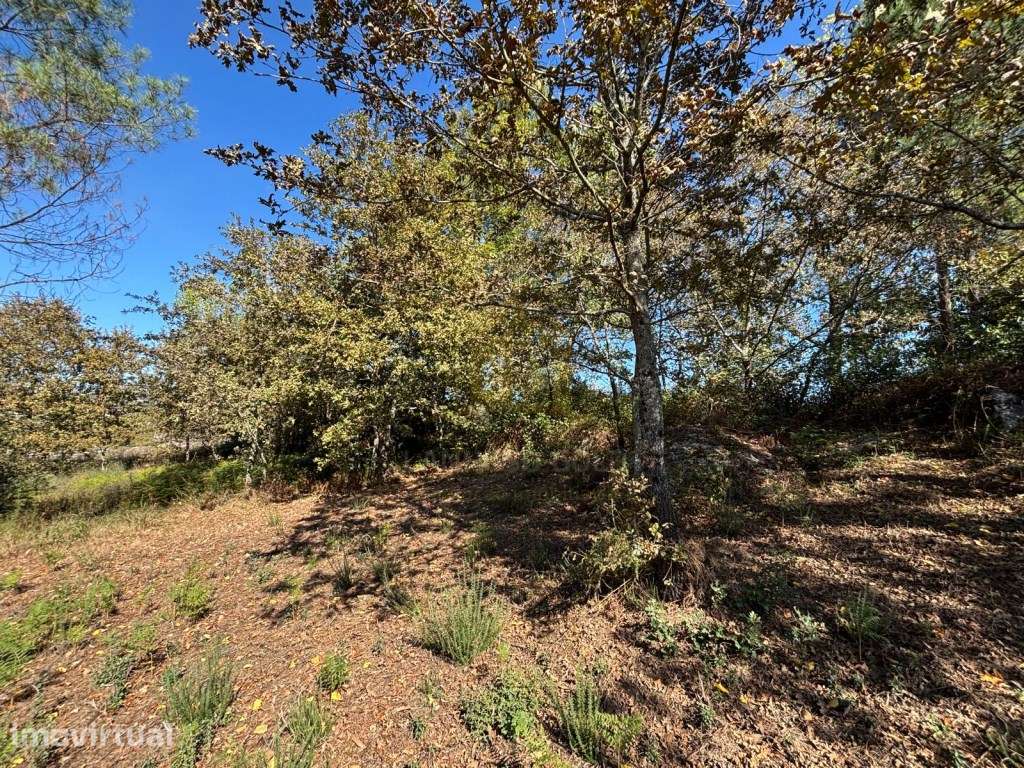 Terreno Agrícola para Venda em Friande, Póvoa de Lanhoso - Grande imagem: 4/31