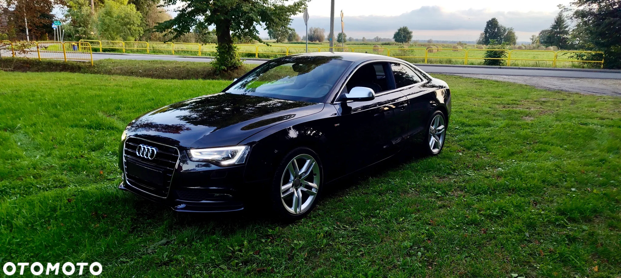 Audi A5 ver-1-8-tfsi - 14