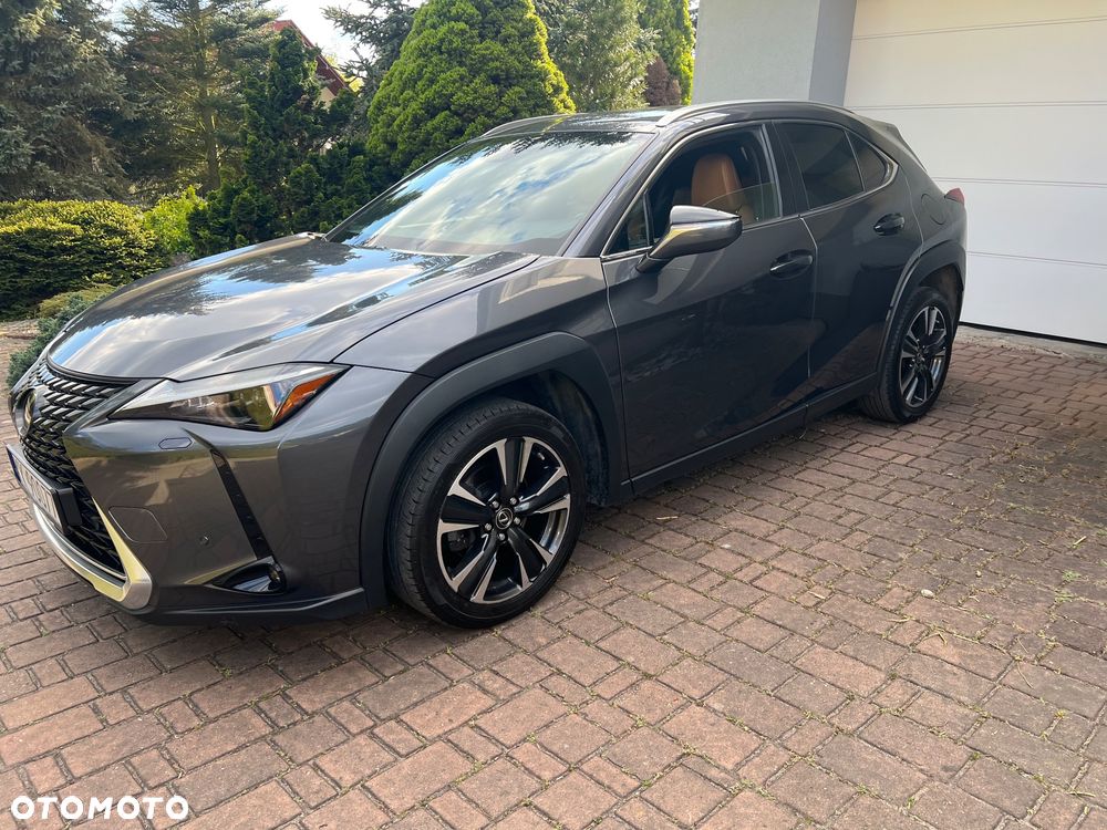 Lexus UX 250h GPF Business 2WD - 3