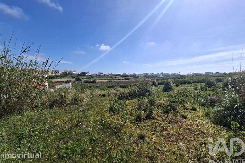 Terreno em Atouguia da Baleia - Grande imagem: 4/8