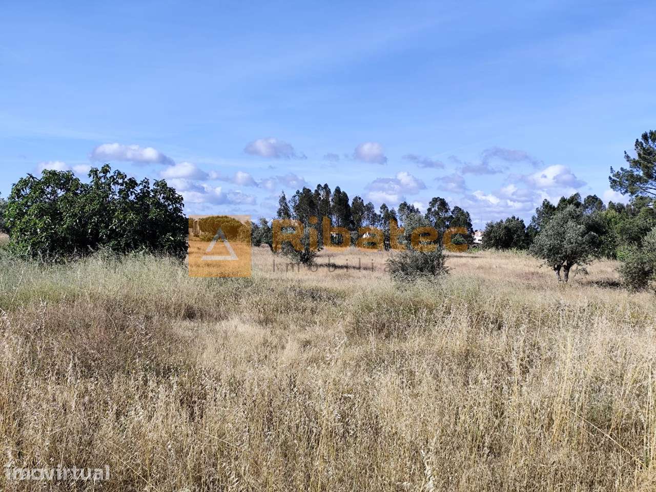 Terreno nas Fazendas da Arriça, Branca - Grande imagem: 4/5