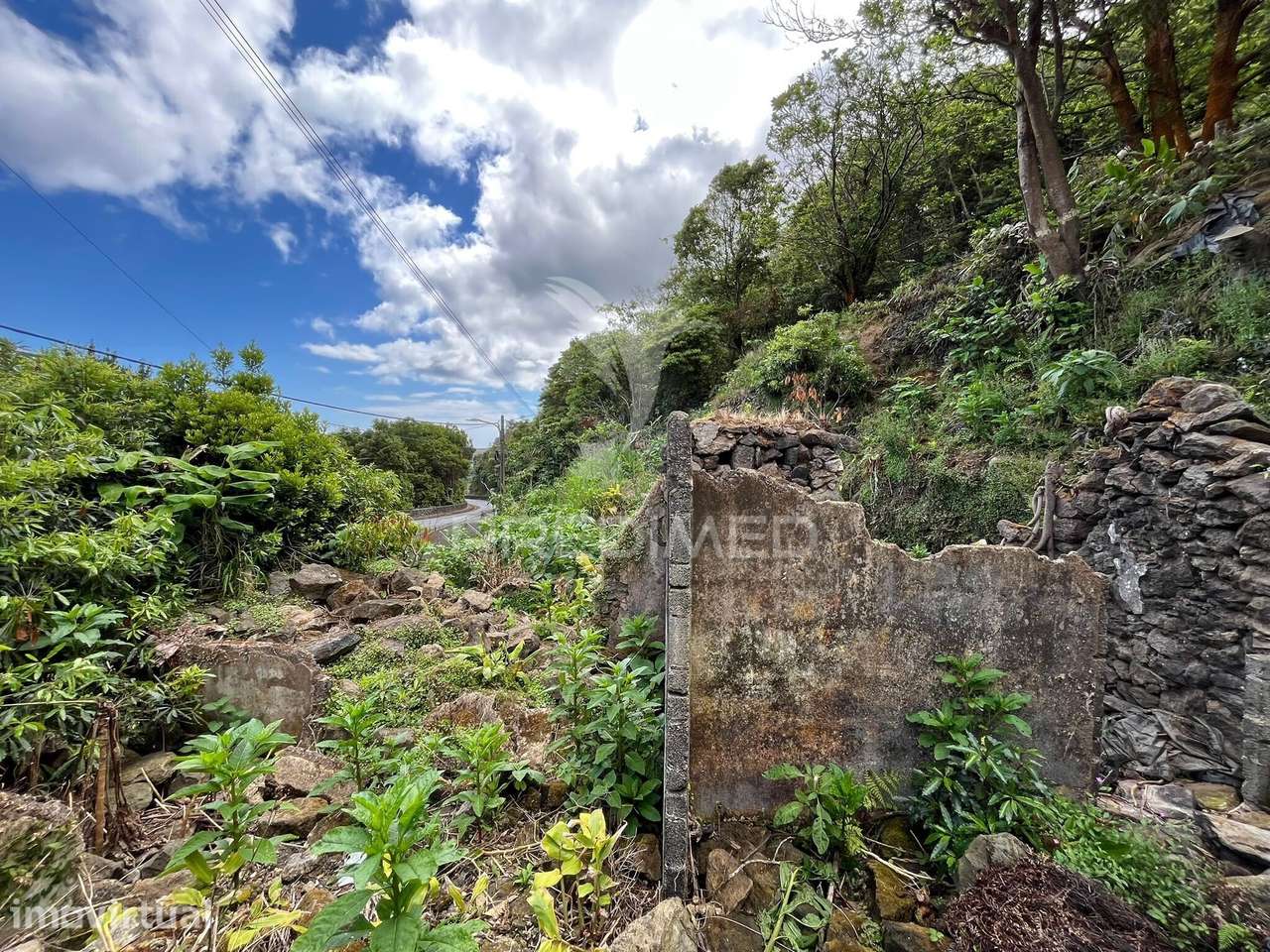 Terreno com Potencial de Construção e Vista Mar nas Quatro Ribeiras - Grande imagem: 5/7