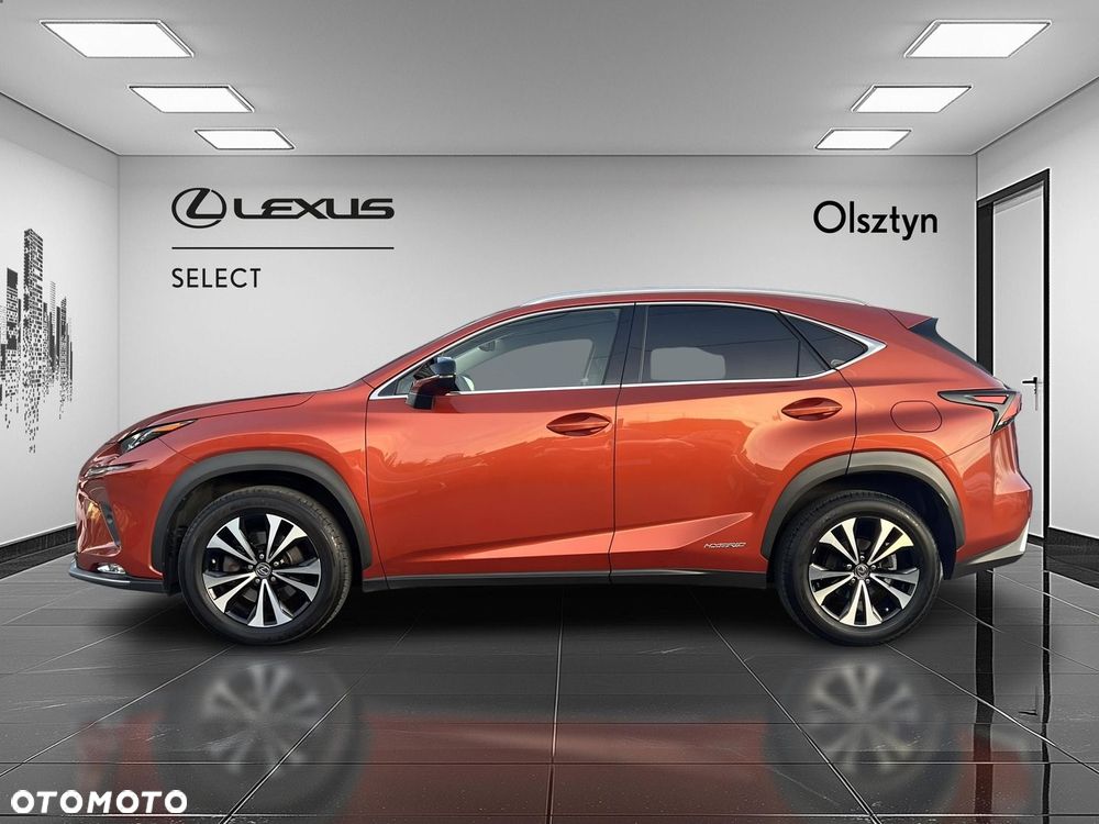 Lexus NX 300h F Impression AWD - 4