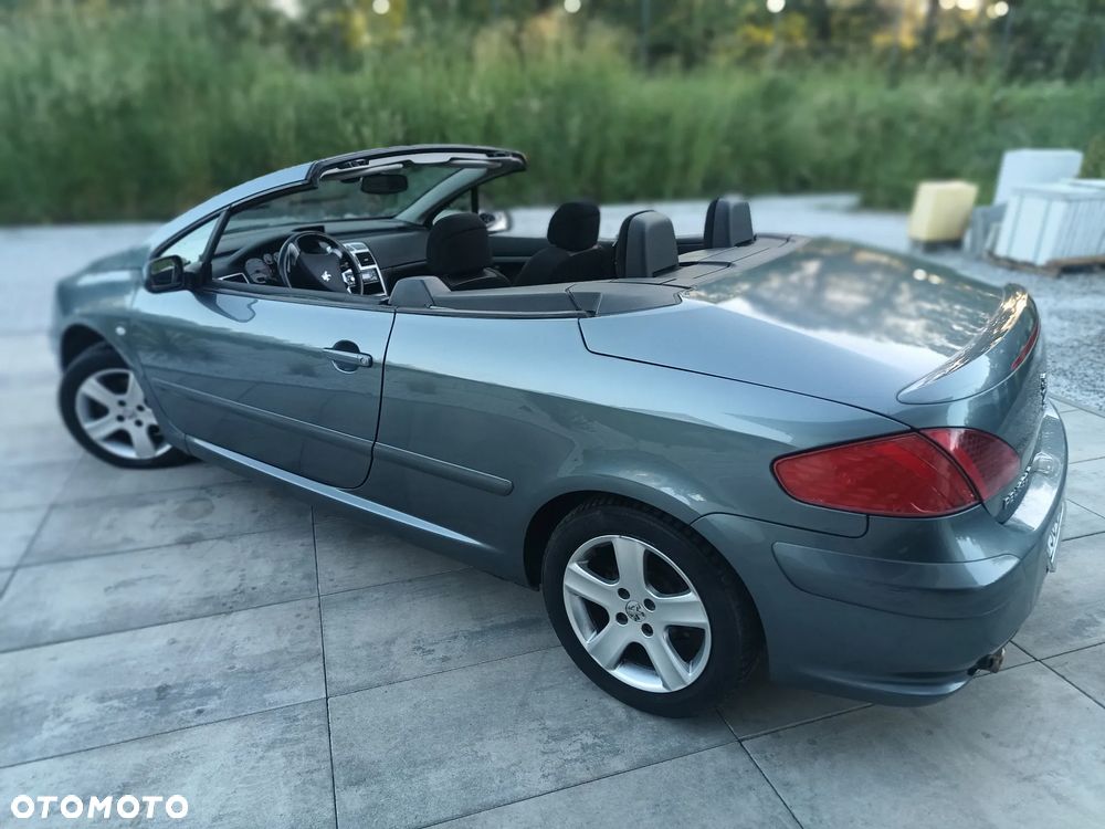 Peugeot 307 - 18