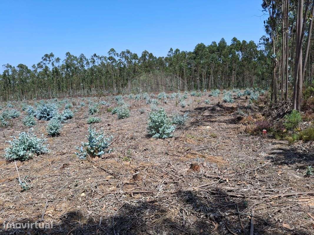 Terreno  para venda - Grande imagem: 2/3