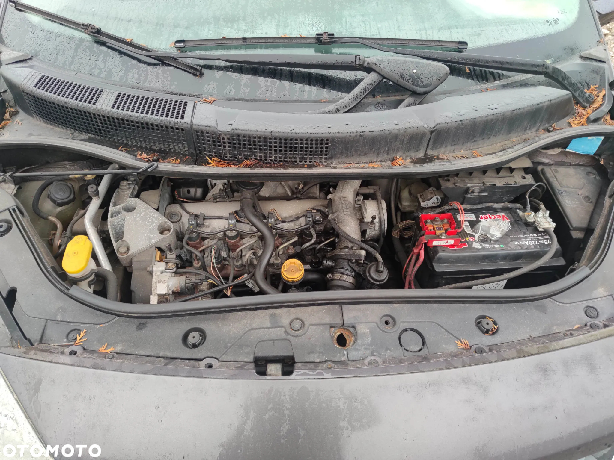 Renault scenic II silnik 1.9 dCi lakier TEC68 na części - 5