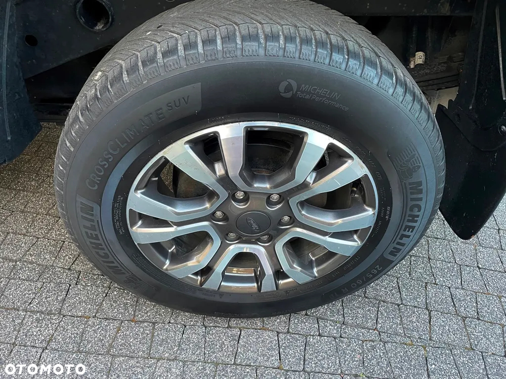 Ford Ranger 2.0 EcoBlue 4x4 DC Wildtrak - 19