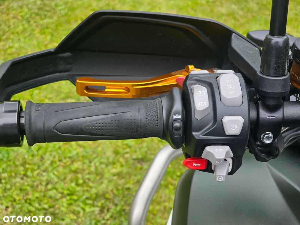 Triumph Tiger - 9