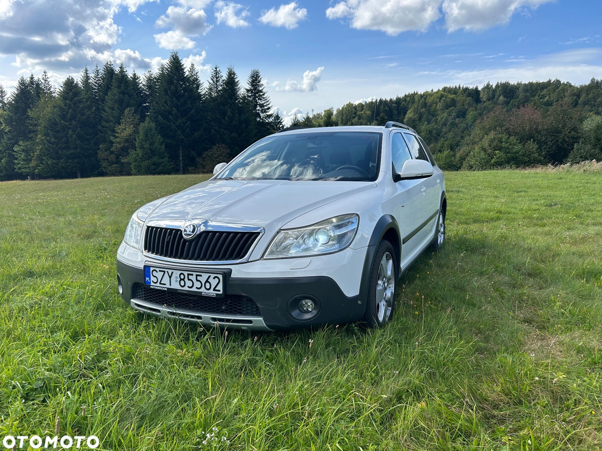 Skoda Octavia Scout 2.0 TDI DPF - 1