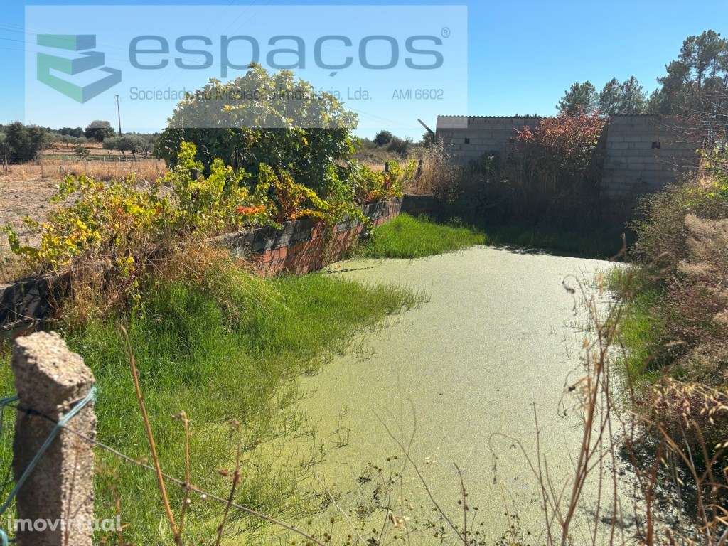 Quinta com vistas para gardunha - Grande imagem: 2/20