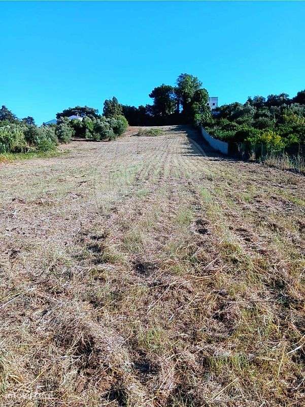 Terreno  para venda - Grande imagem: 2/3