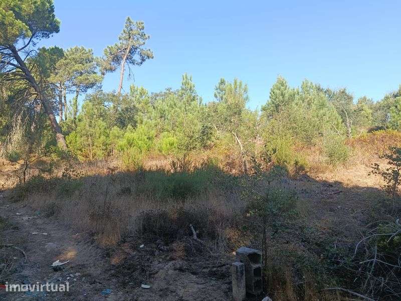 terreno lagoa de albufeira