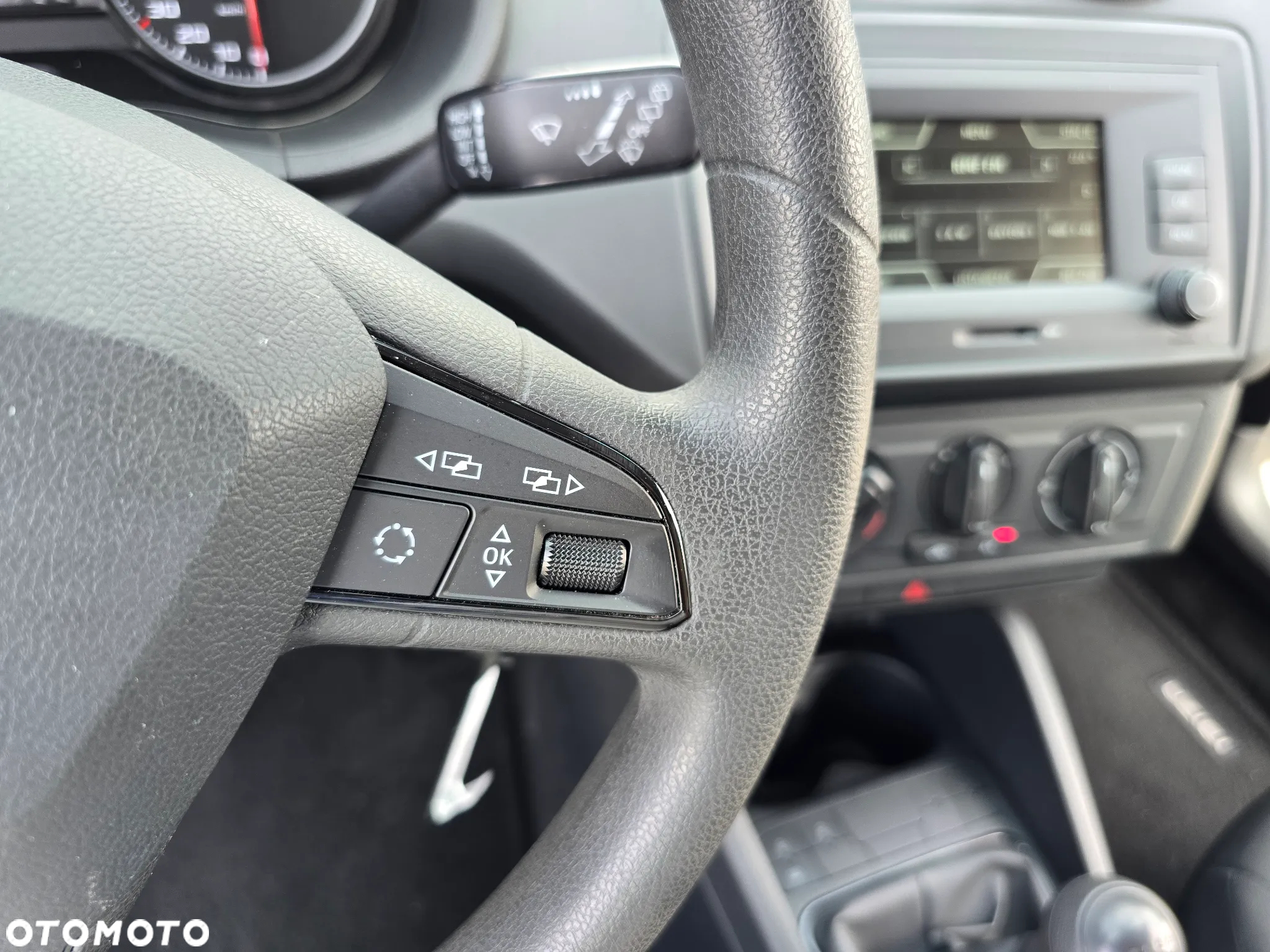 Seat Ibiza - 28
