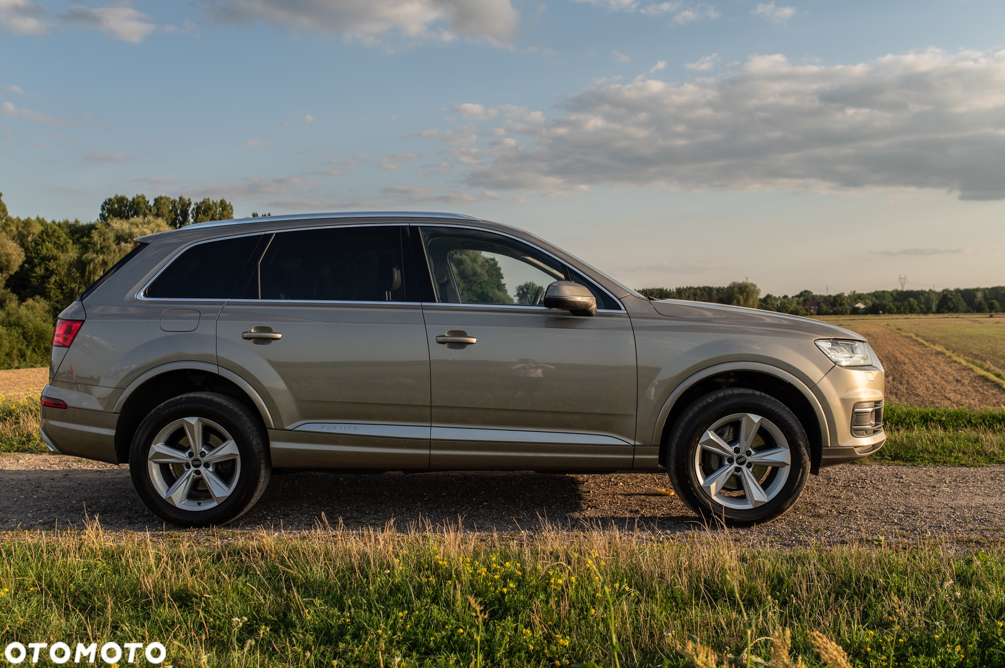 Audi Q7 3.0 TDI Quattro Tiptronic - 12
