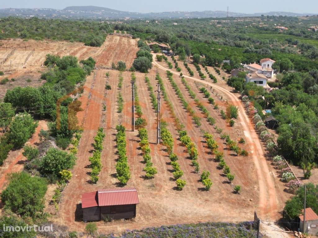 Terreno com casa de madeira e ruína em Algoz - Grande imagem: 3/52
