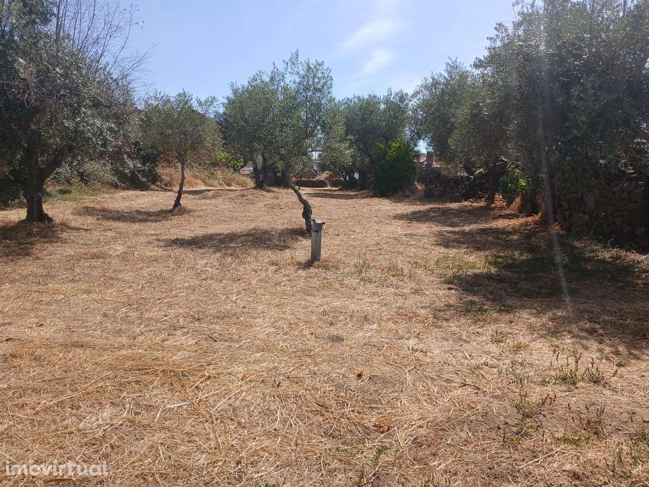 Quintinha - Grande imagem: 3/10