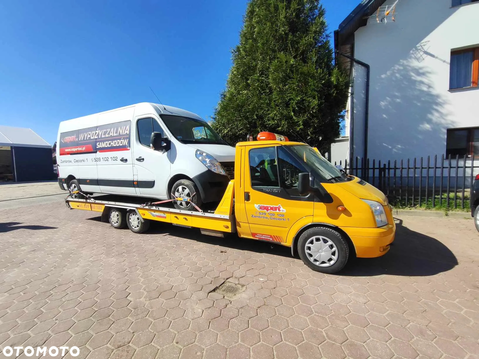 Ford Transit Algema XXL - 25