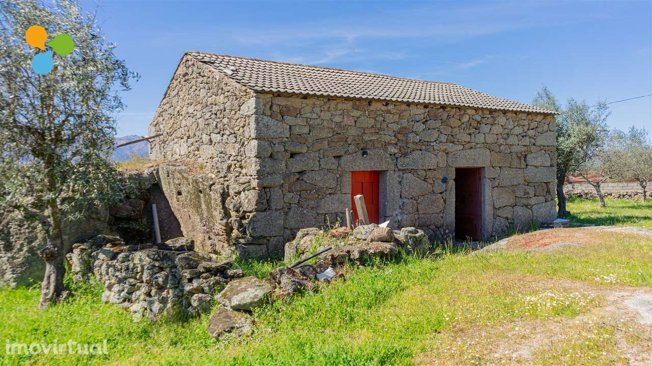 Quintinha com 3 casas - Grande imagem: 3/34