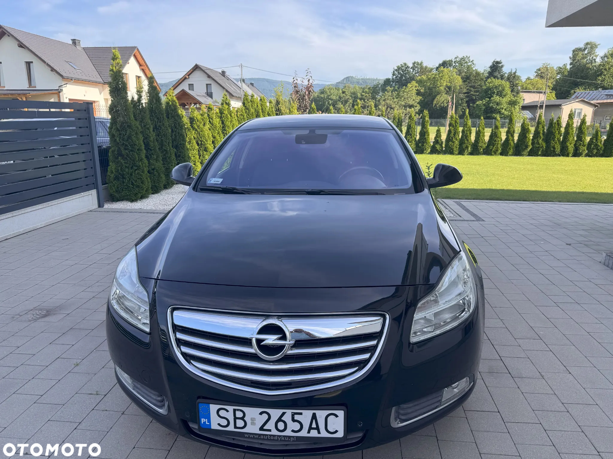 Opel Insignia - 2
