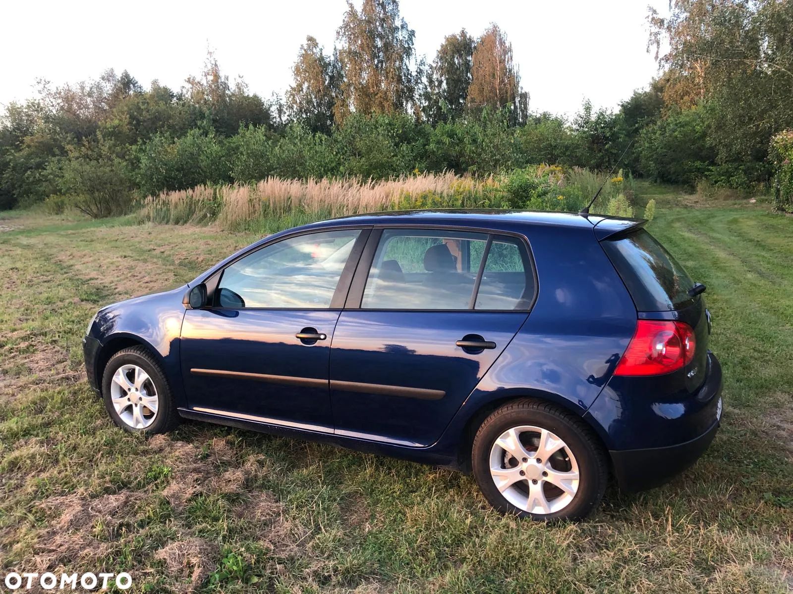 Volkswagen Golf - 1