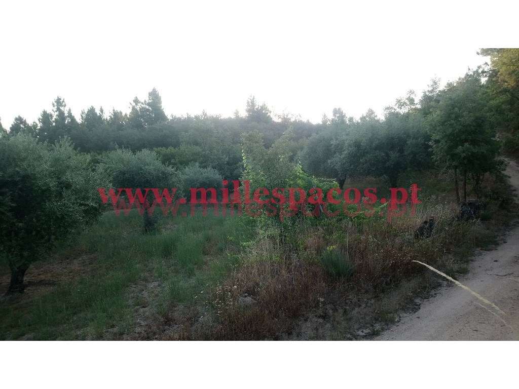 Terreno com represa - Grande imagem: 5/14