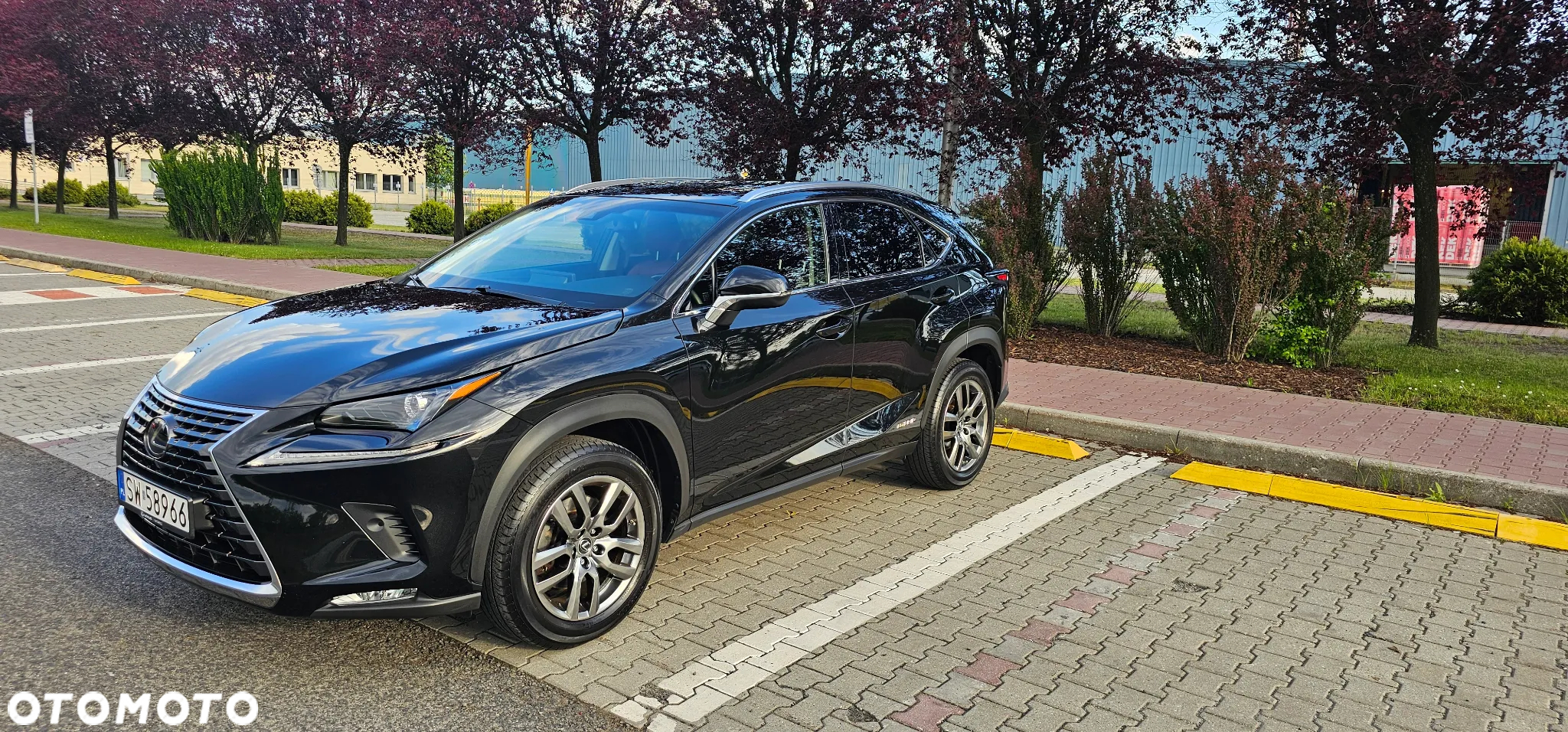 Lexus NX 300h Prestige AWD - 2