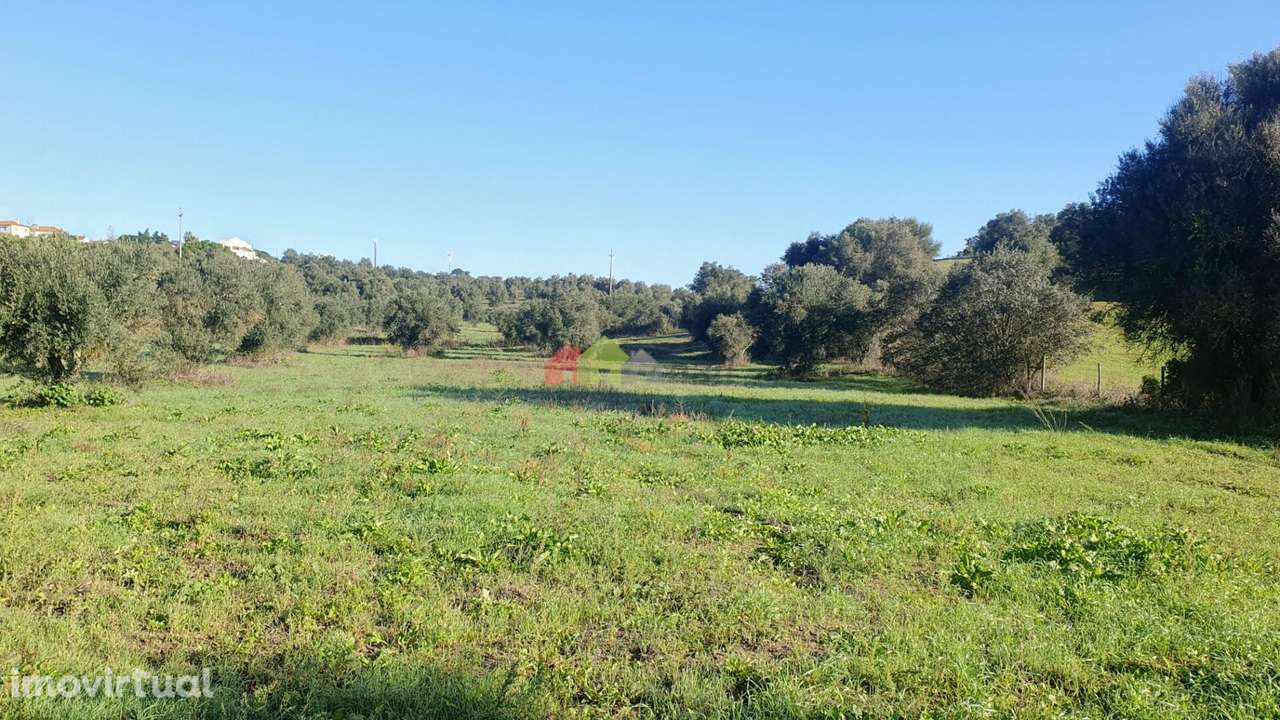 Lavre - Grande imagem: 2/16