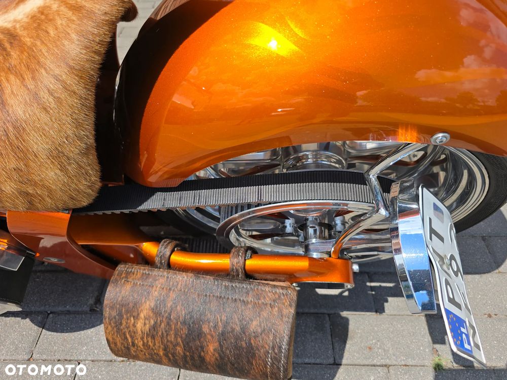Harley-Davidson Inny - 20