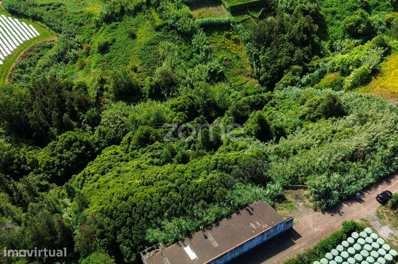 Terreno Rústico, 1/2 de 10.380 m² – Lomba de São Pedro - Grande imagem: 4/15