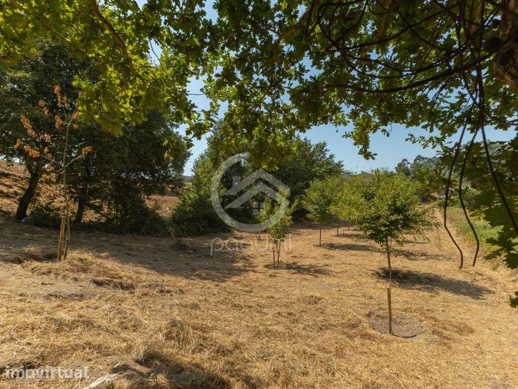 Terreno urbano em Penafiel - Potencial, localização e versatilidade - Grande imagem: 3/15