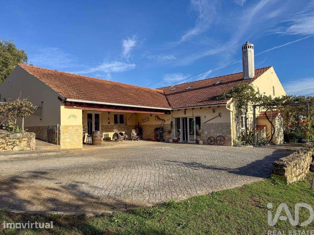 Quinta rural T7 em Areias e Pias de 500 m2 - Grande imagem: 4/40