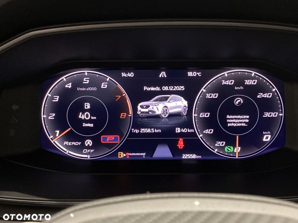 Cupra Formentor 2.0 TSI 4Drive DSG - 24