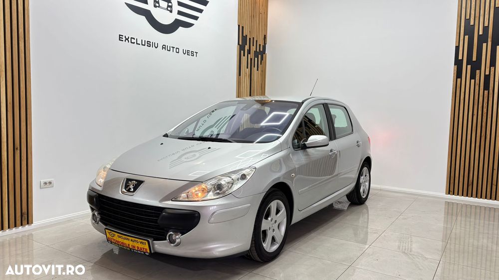 Peugeot 307 1.6 XS - 12