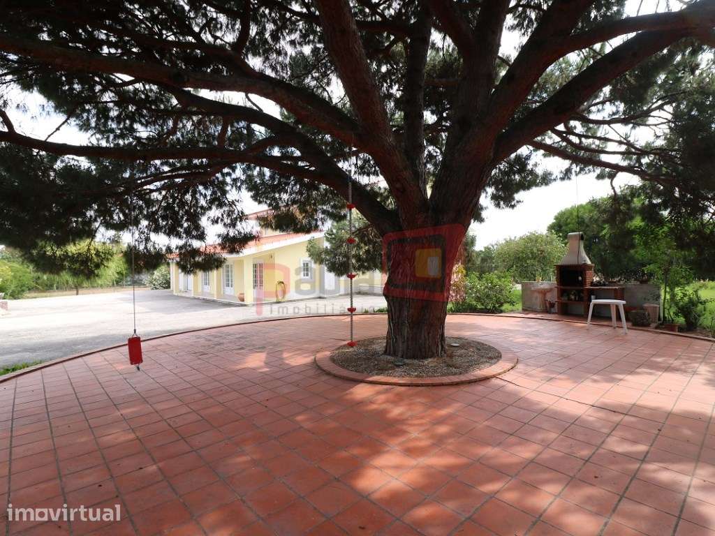 QUINTA COM MORADIA E PISCINA EM TERRENO DE 1,3HA PINHAL NOVO - CARR... - Grande imagem: 2/60