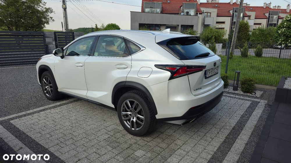 Lexus NX 300 Business Edition AWD - 7
