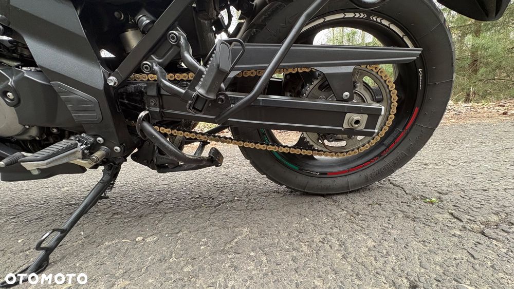Suzuki V-STROM - 14