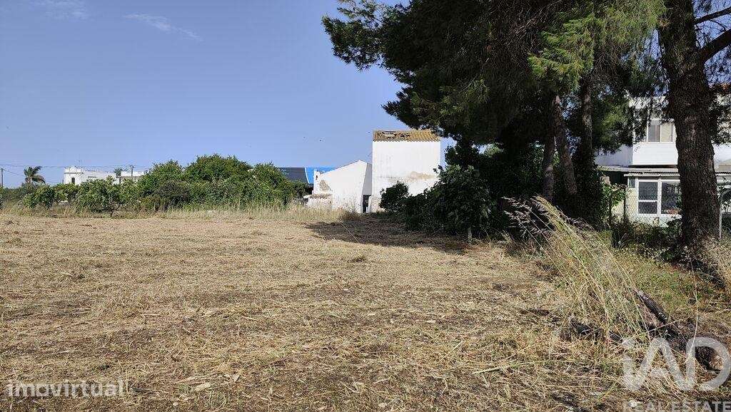 Moradia térrea em Conceição e Estoi de 140 m2 - Grande imagem: 5/7