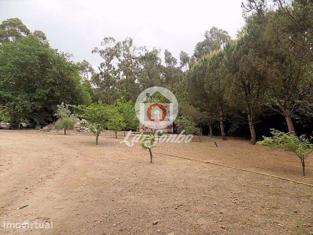 Quintinha com 9.200 m2 em Cruz - Grande imagem: 5/21