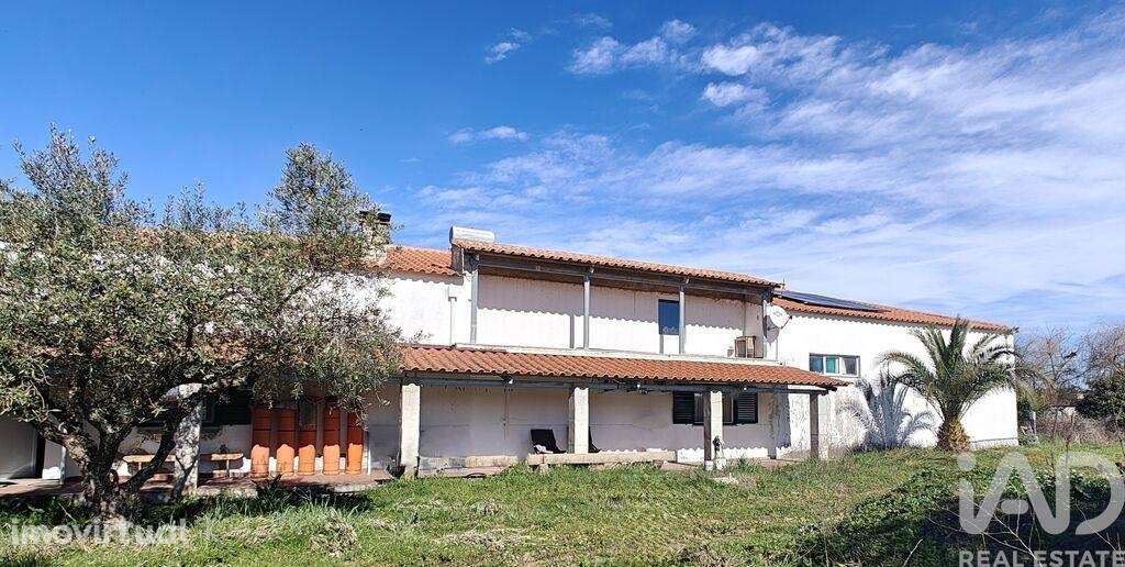 Prédio T3 em Ladoeiro de 210,00 m2 - Grande imagem: 4/26