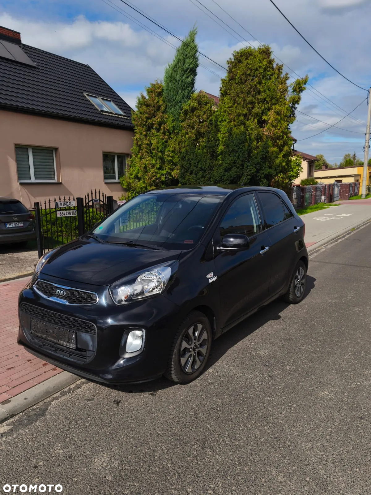 Kia Picanto 1.2 Dream-Team Edition - 2