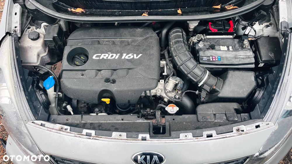 Kia Rio 2014 photo 5