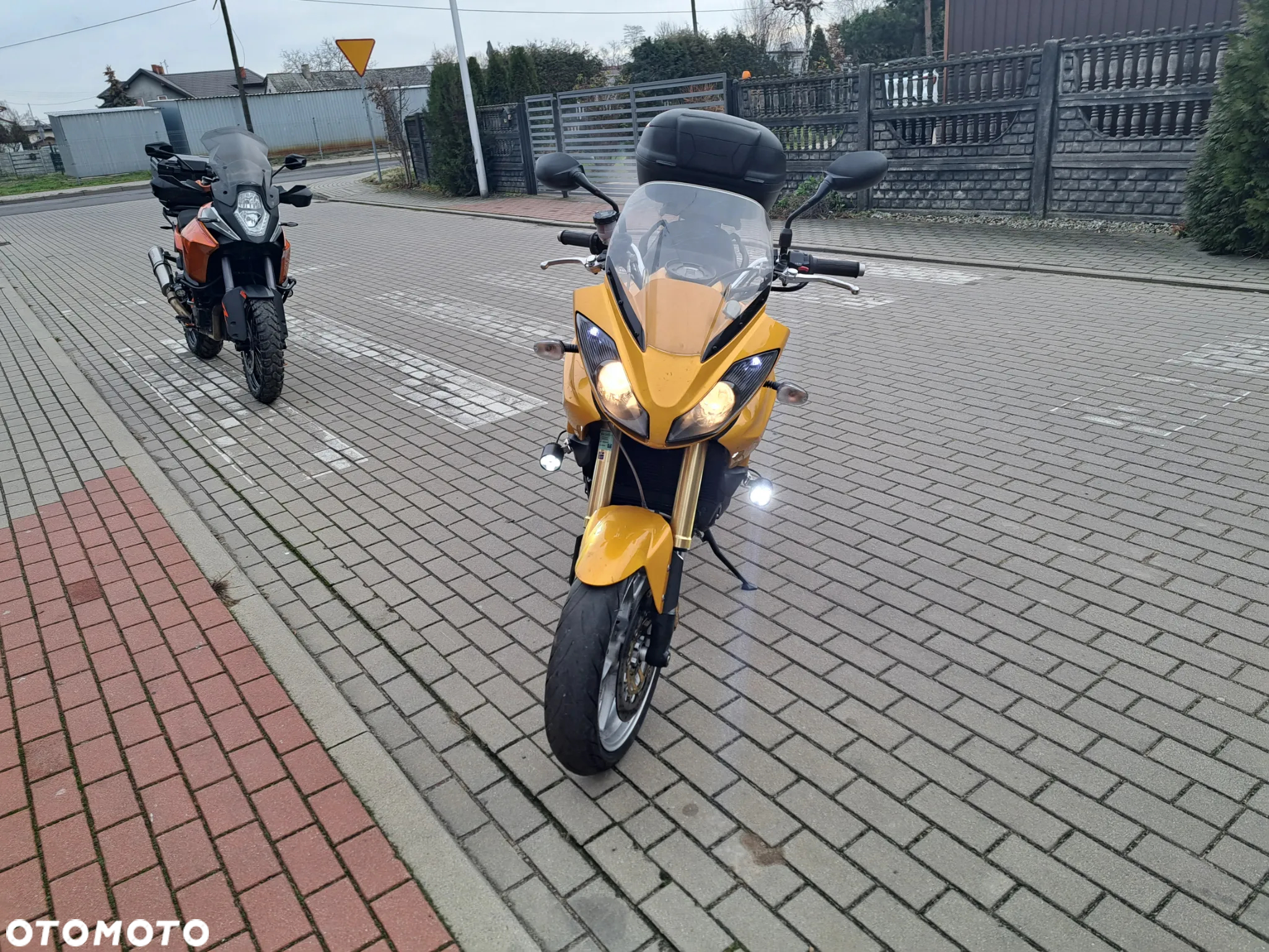 Triumph Tiger - 5