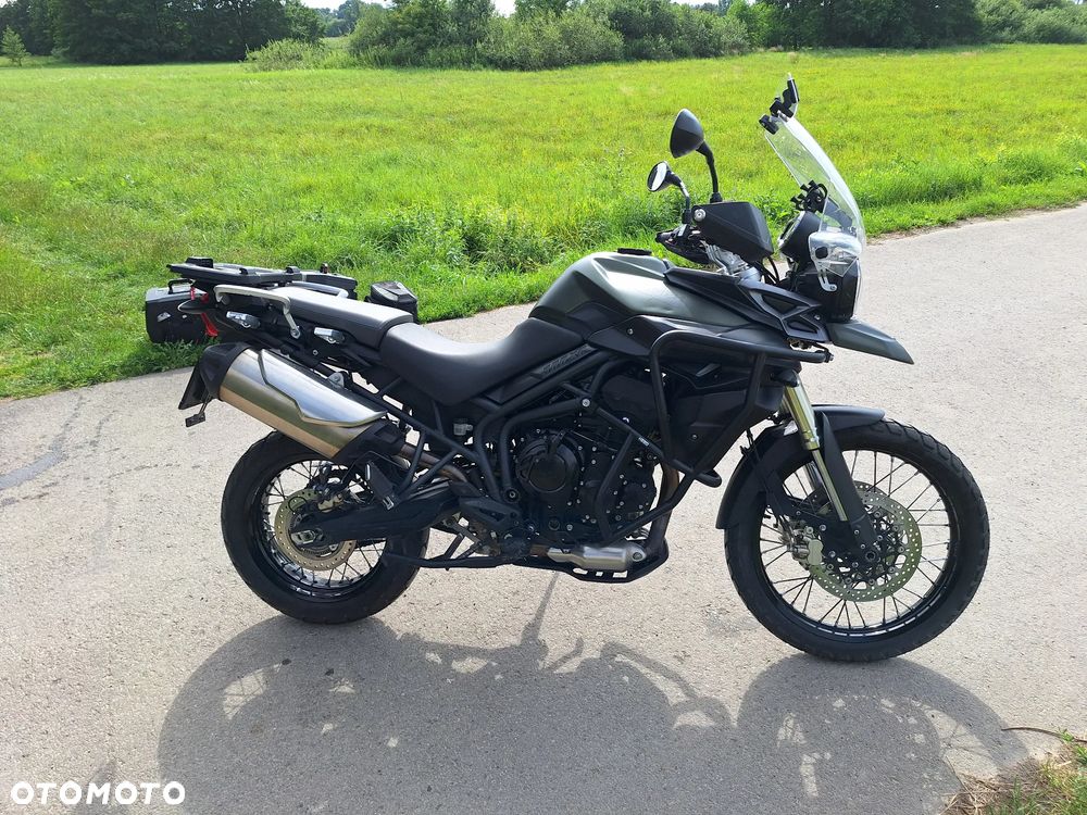 Triumph Tiger - 24