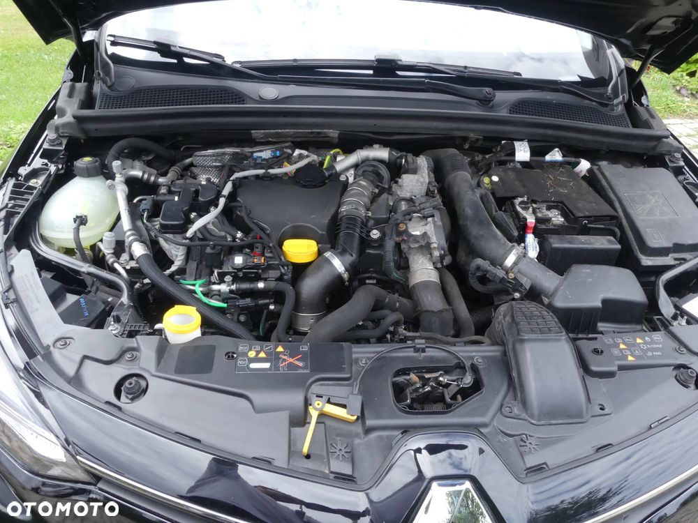 Renault Clio - 30