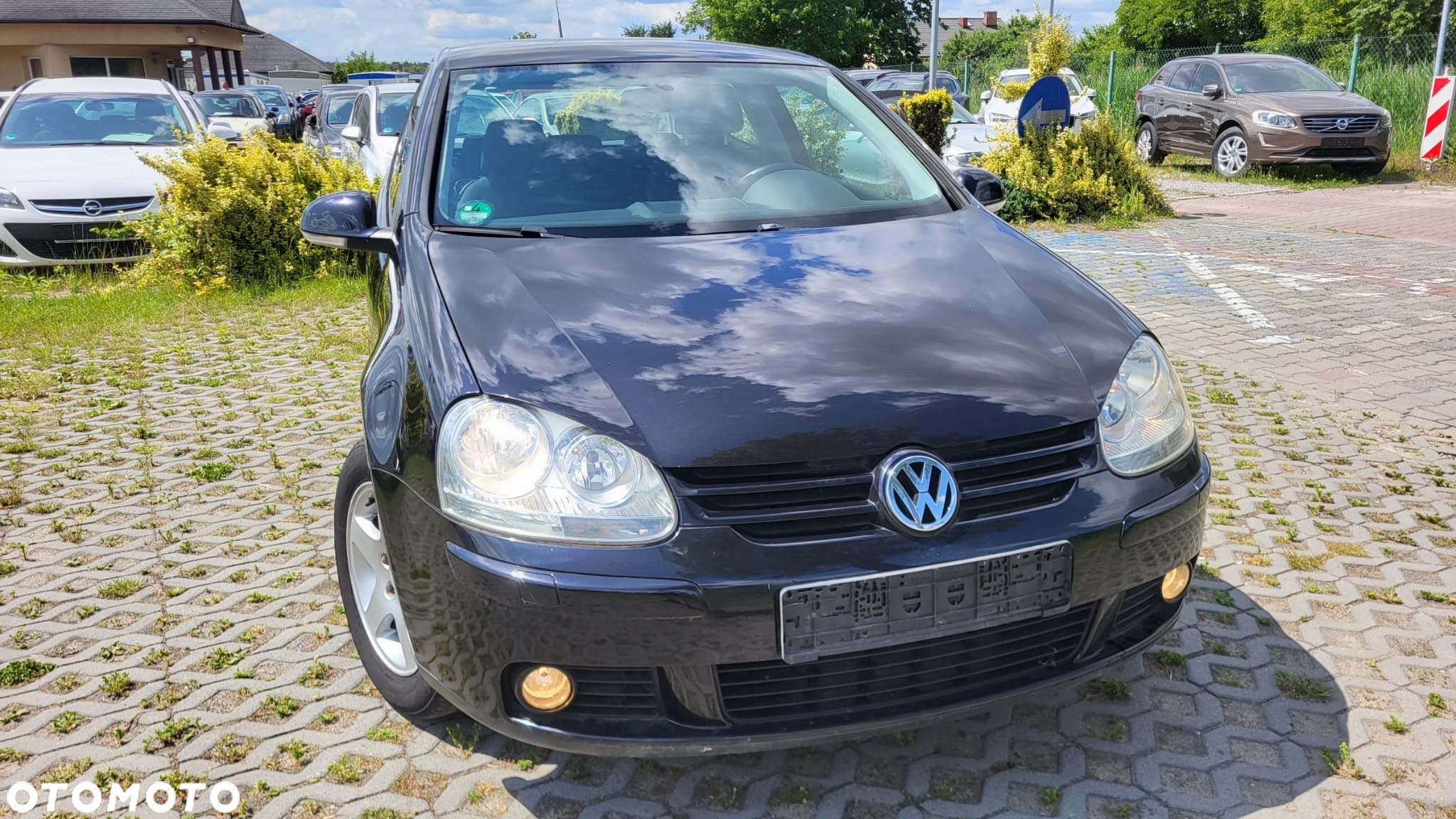 Volkswagen Golf - 19