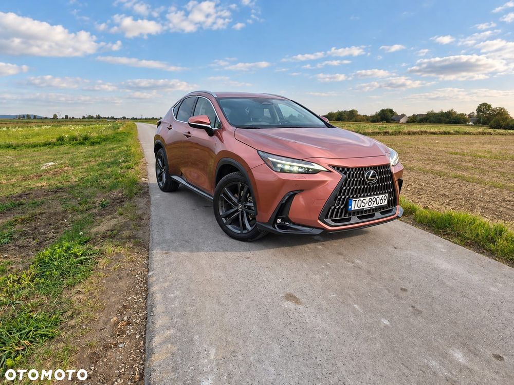 Lexus NX - 2