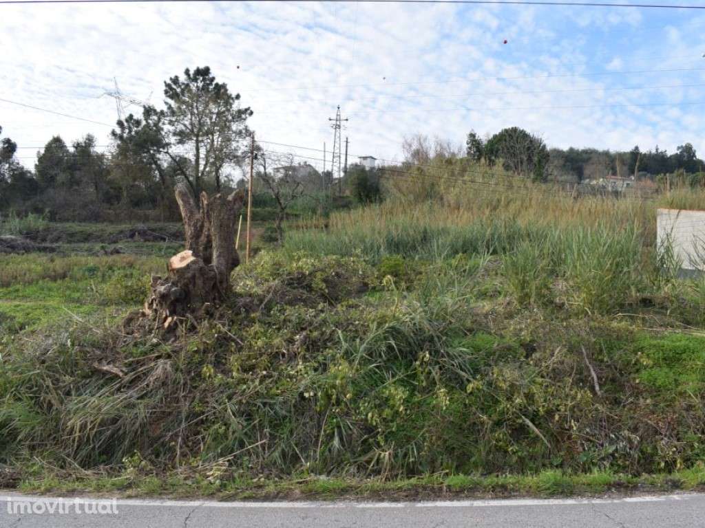Quinta entre Antanhol e Cernache - Grande imagem: 4/18